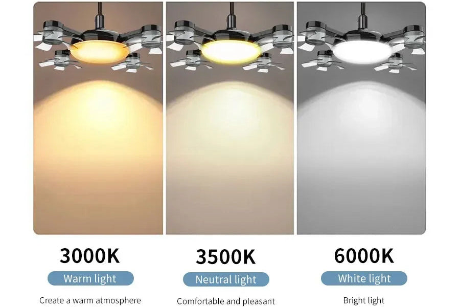 2-in-1 Ceiling Fan & LED Light