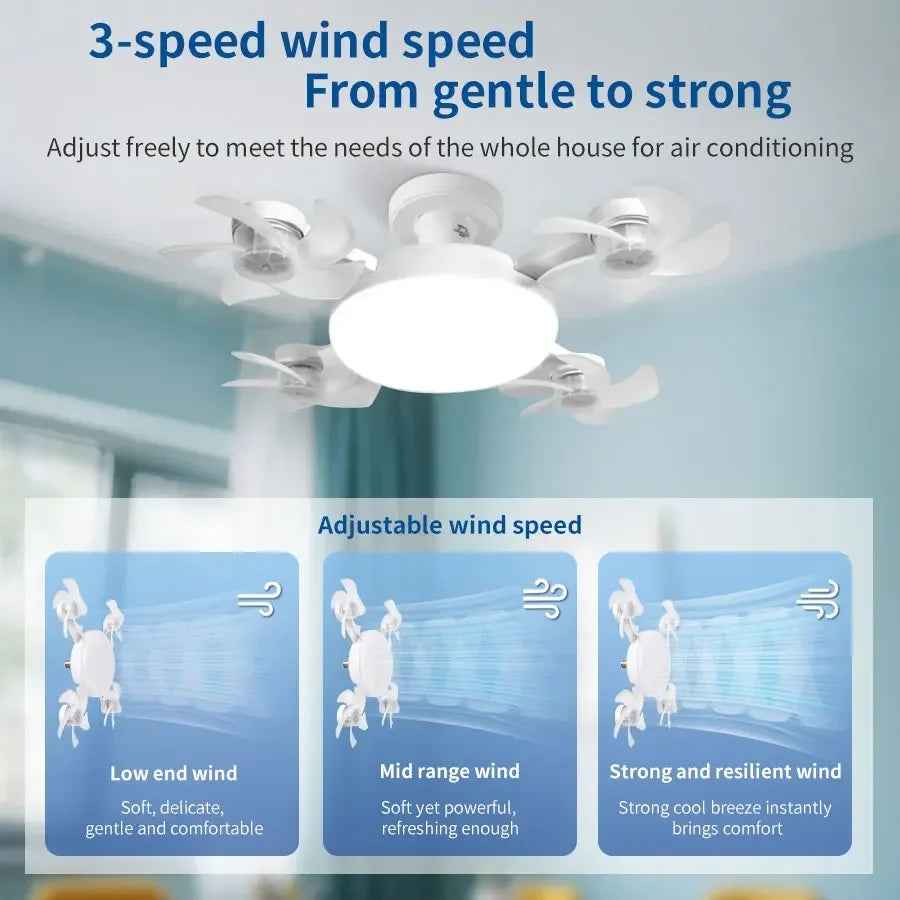 2-in-1 Ceiling Fan & LED Light
