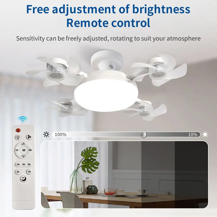 2-in-1 Ceiling Fan & LED Light