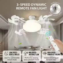 2-in-1 Ceiling Fan & LED Light