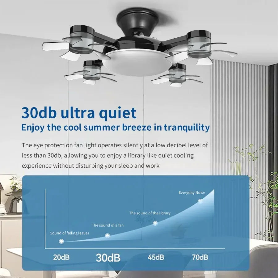 2-in-1 Ceiling Fan & LED Light